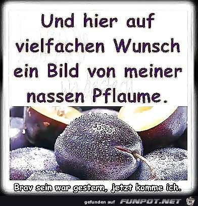 Wunsch Wunsch