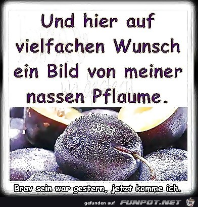 Wunsch