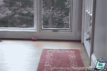 Squeeeeze Squeeeeze
