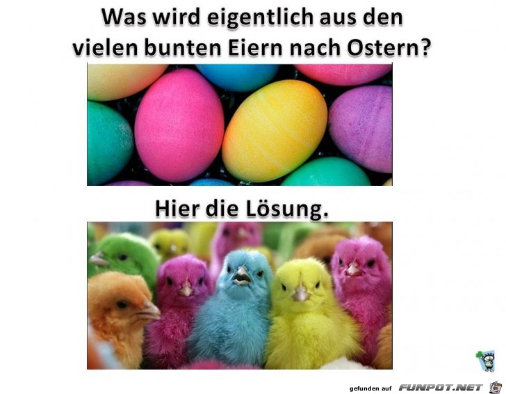 Bunte Eier