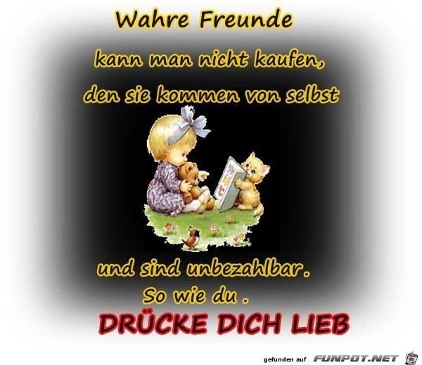 Wahre Freunde