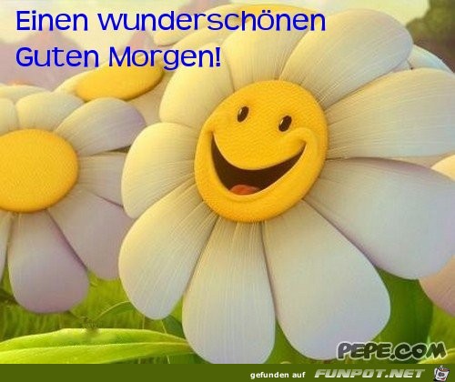 Einen wunderschoenen Guten Morgen Einen wunderschoenen Guten Morgen