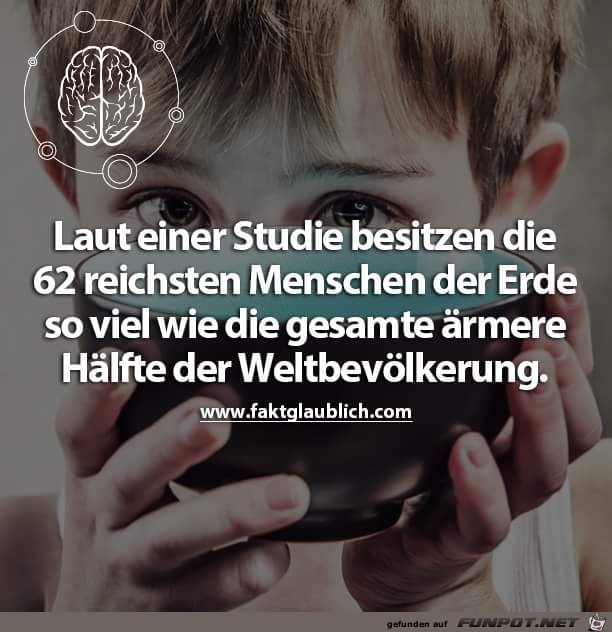 studie studie