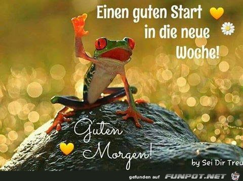 Einen guten Start