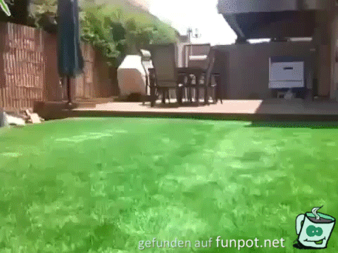 gif überdachter pool gif überdachter pool