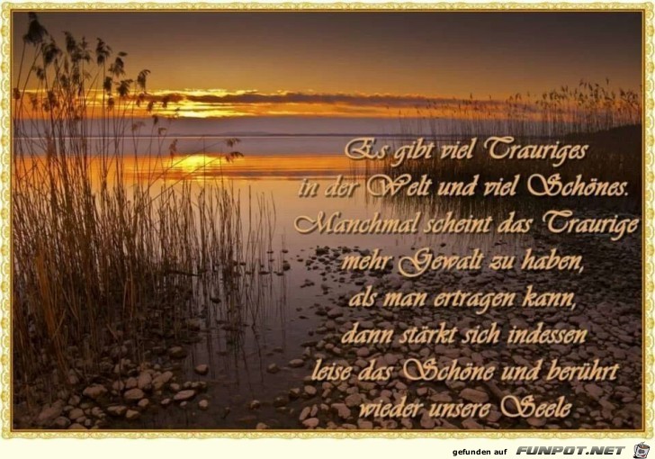 Es gibt viel Trauriges... Es gibt viel Trauriges...