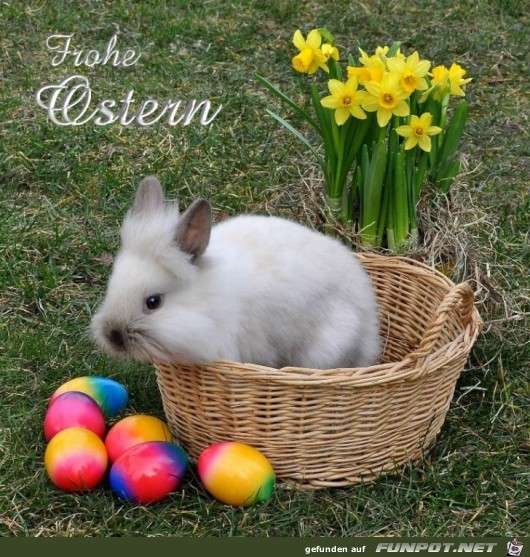 Frohe-ostern