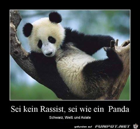 Sei kein... Sei kein...