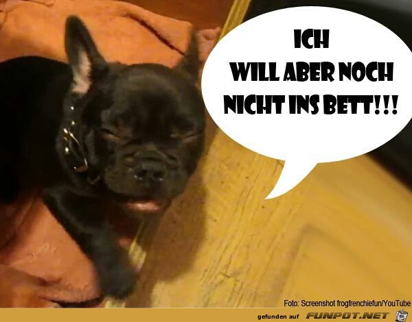 noch nicht noch nicht