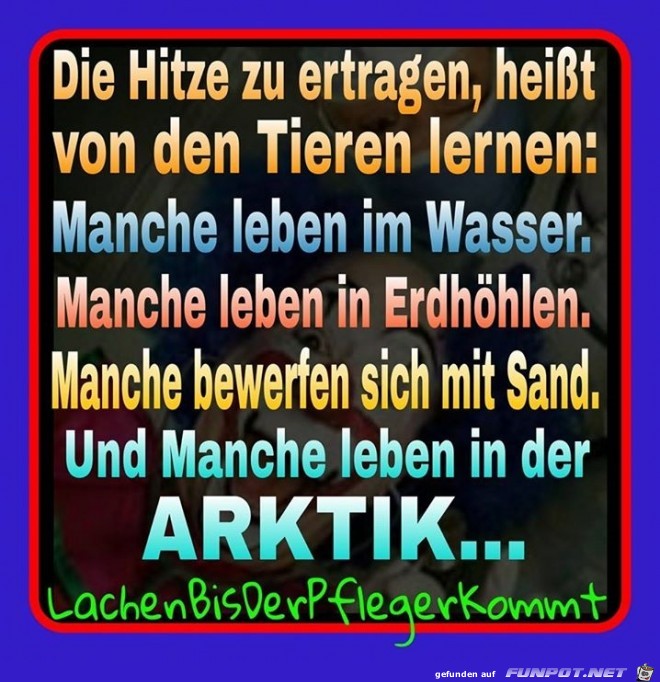 Arktik Arktik