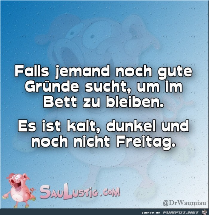 Falls-jemand-noch-Gruende-sucht Falls-jemand-noch-Gruende-sucht