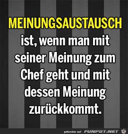 meinungsaustausch meinungsaustausch