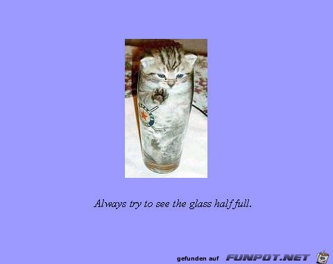 Glass half full Glass half full