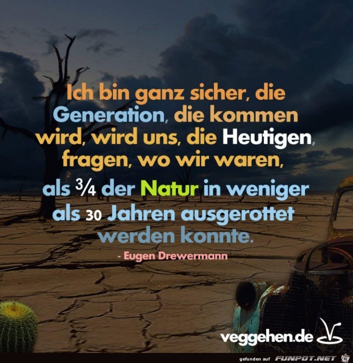 Generation Generation