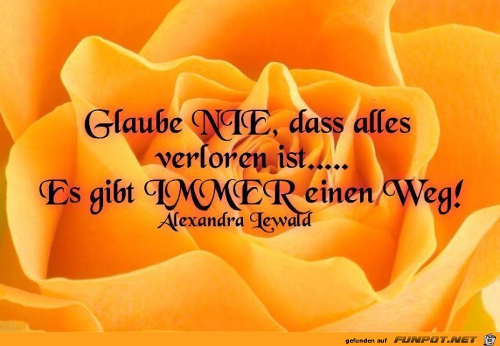 Glaube NIE