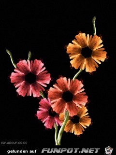 image013 image013