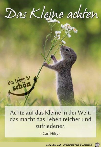 das Kleine achten