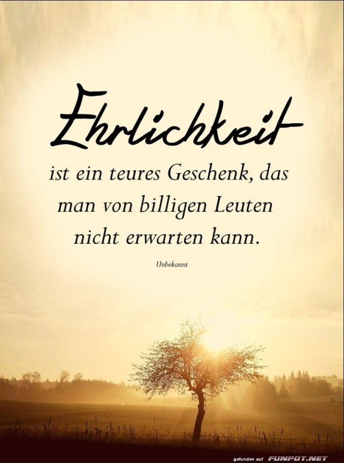 10 schöne Sprüche und Lebensweisheiten aus... 10 schöne Sprüche und Lebensweisheiten aus...