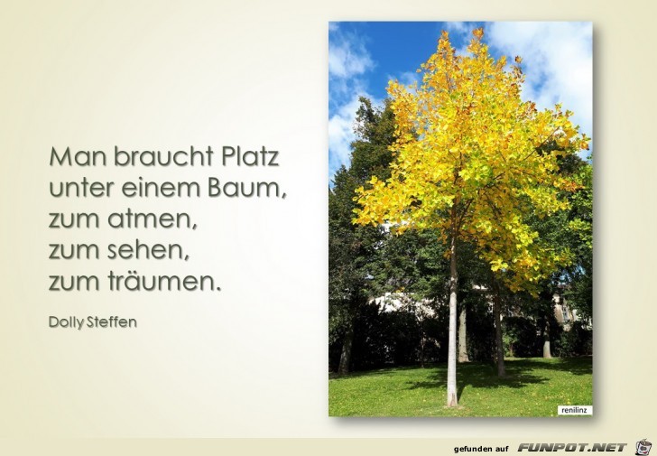 Man braucht Platz unter einem Baum