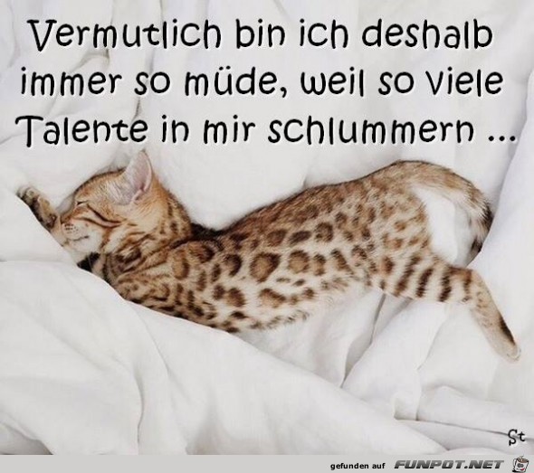 Talente Talente