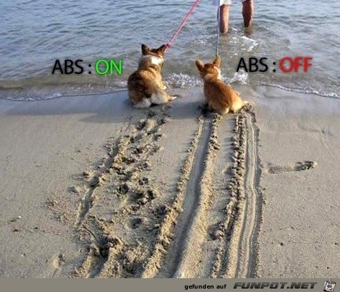 ABS ABS