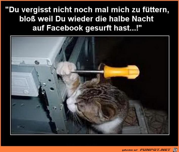 fuettern fuettern