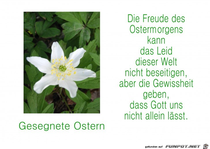 Ostermorgen Ostermorgen