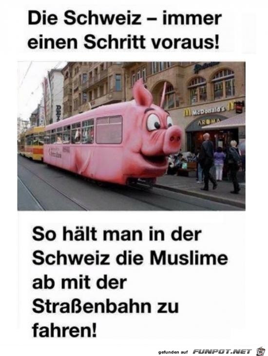 immer einen Schritt voraus