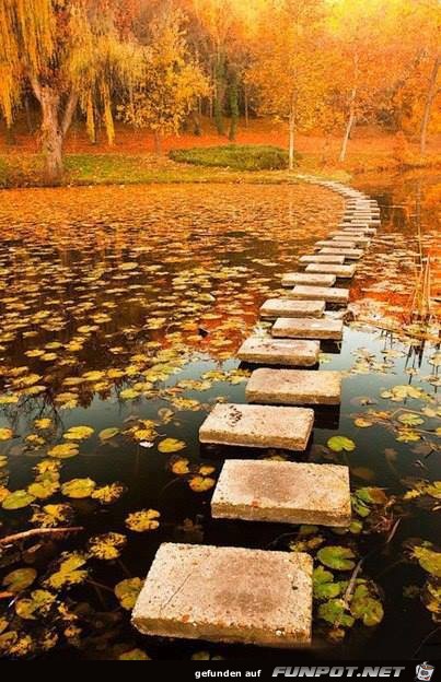 Awesome Pictures 8 Awesome Pictures 8