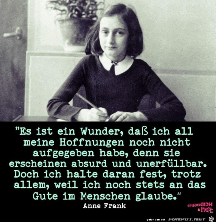 Wunder Wunder
