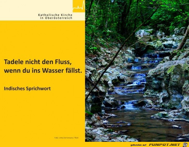 Tadle nicht den fluss