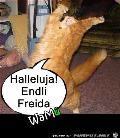 Endli freida