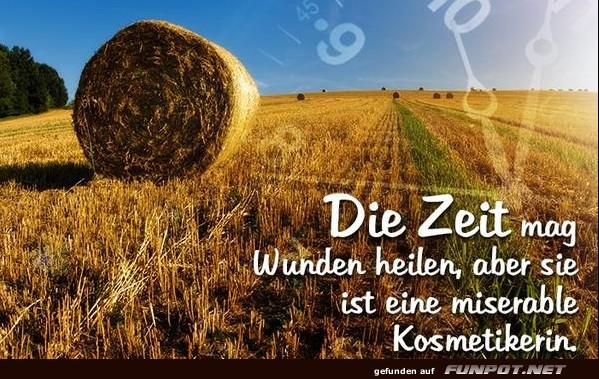 10 sch�ne Spr�che und Lebensweisheiten aus...