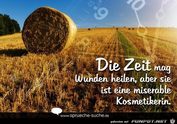 die Zeit die Zeit