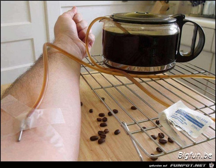 morgenkaffee morgenkaffee