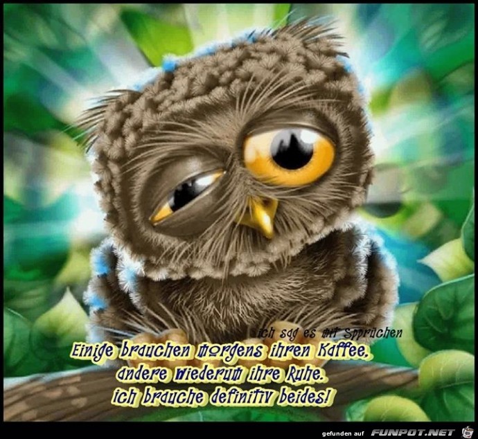 morgens morgens