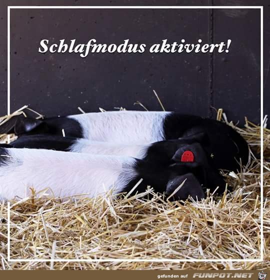 Schlafmodus aktiviert Schlafmodus aktiviert