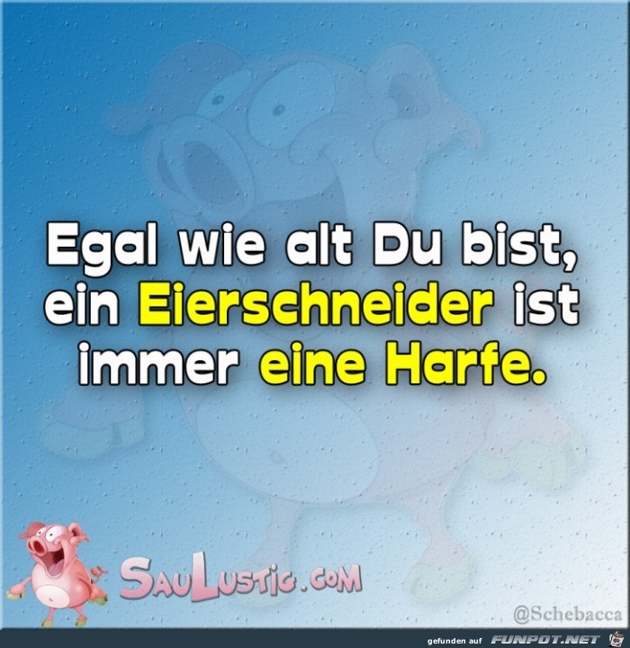 Eierschneider Eierschneider