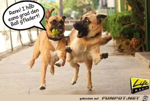 Lauf Lauf
