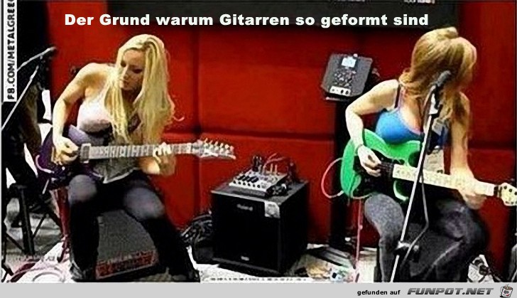 Der Grund warum Gitarren...