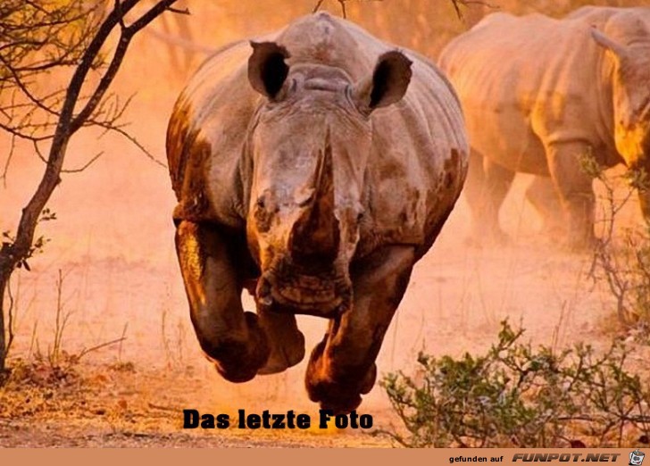 Aus isses Aus isses