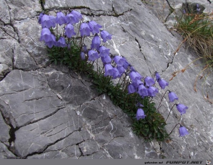 Interessante Naturbilder