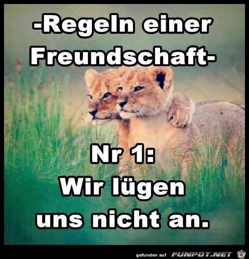 Regeln der Freundschaft