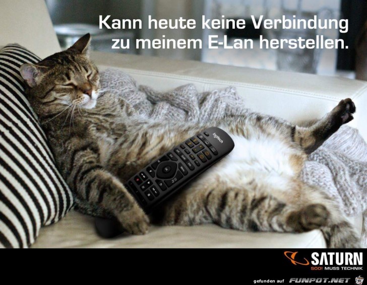 E- lan E- lan