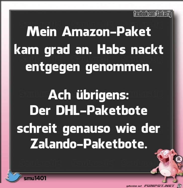 Amazon Paket ist angekommen