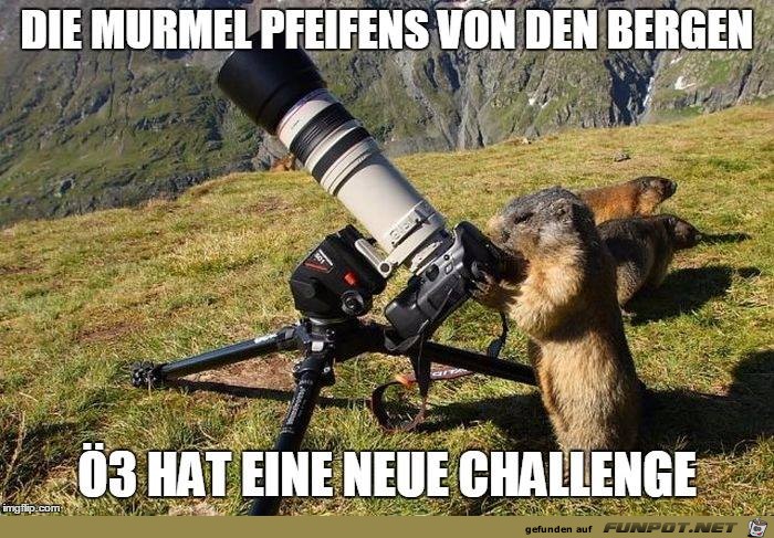 Die Murmel