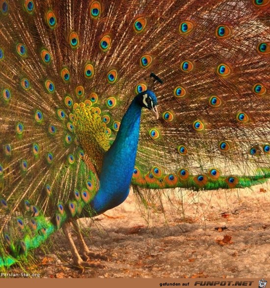 Farben, die nur Mutter Natur selbst schaffen kann ....