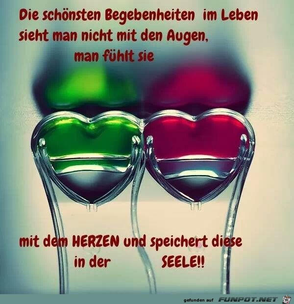 Die schönsten Begebenheiten Die schönsten Begebenheiten