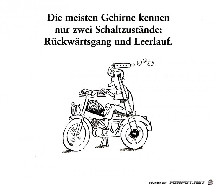 65 Gehirn 65 Gehirn