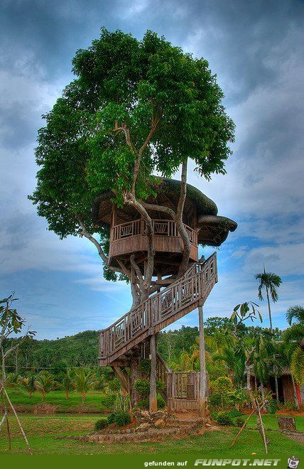 Awesome Pictures 7 Awesome Pictures 7